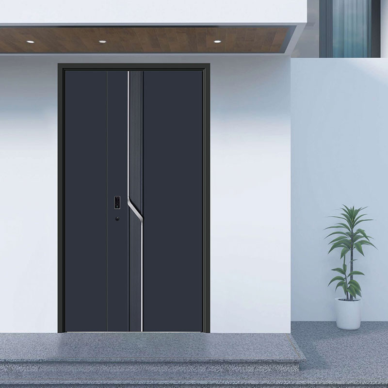 Entrance Door with Handle