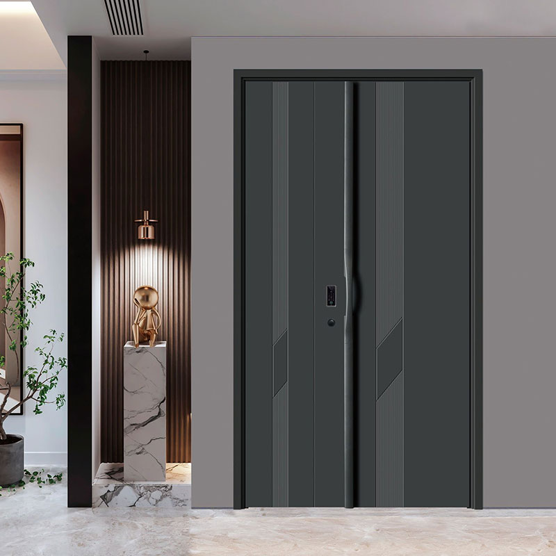 Modern Entrance Door